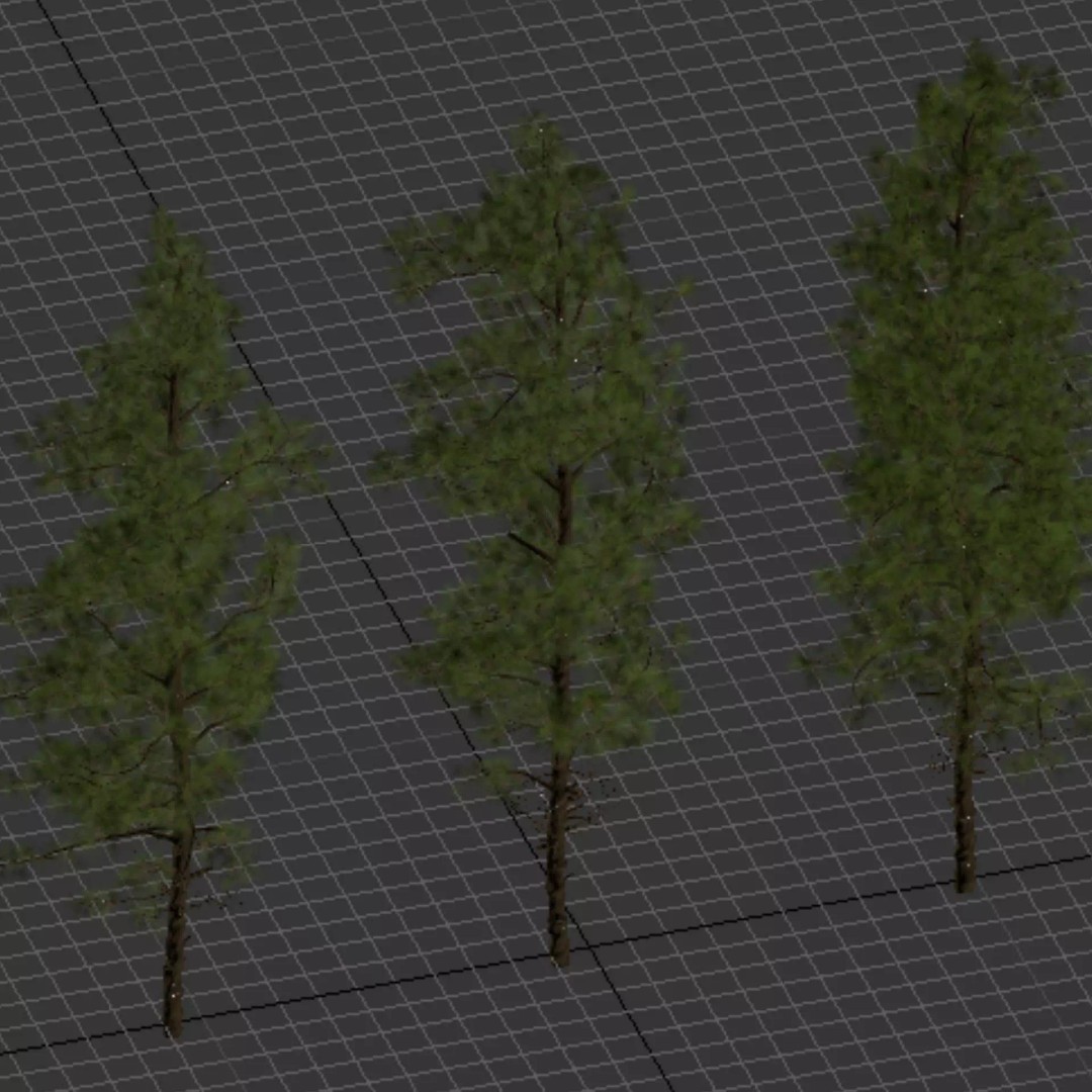Pine Tree 3D Model – Realistic Collection with PBR Textures, FBX