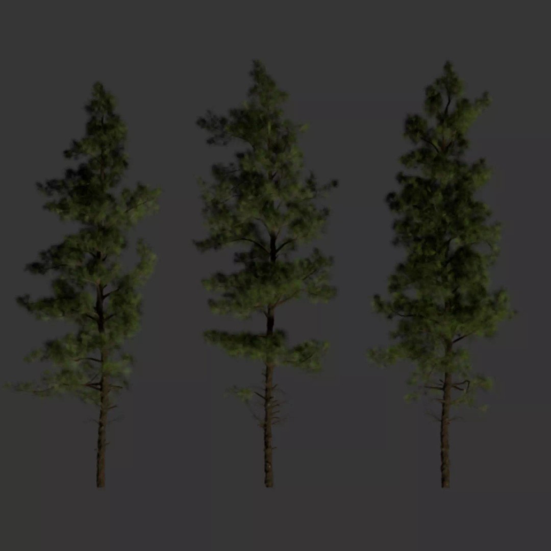 Pine Tree 3D Model – Realistic Collection with PBR Textures, FBX - View 9