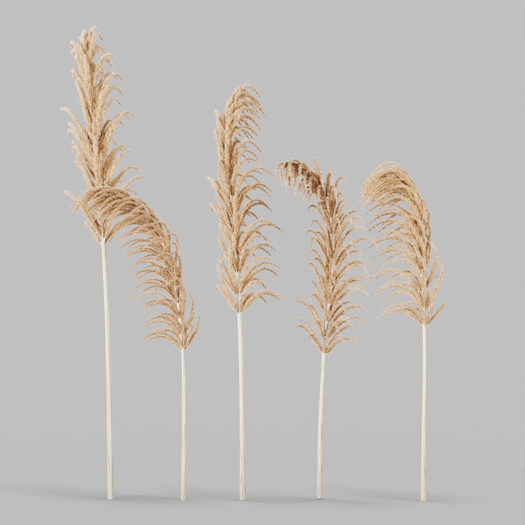 Decorative Set No3 3D Model – High Poly Plant Collection, FBX, OBJ - View 12