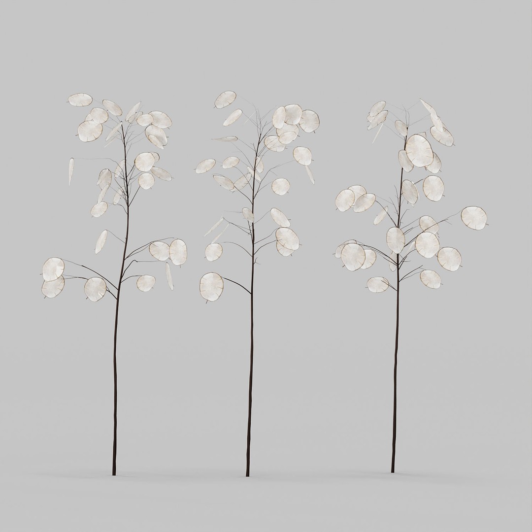 Decorative Set No3 3D Model – High Poly Plant Collection, FBX, OBJ - View 14