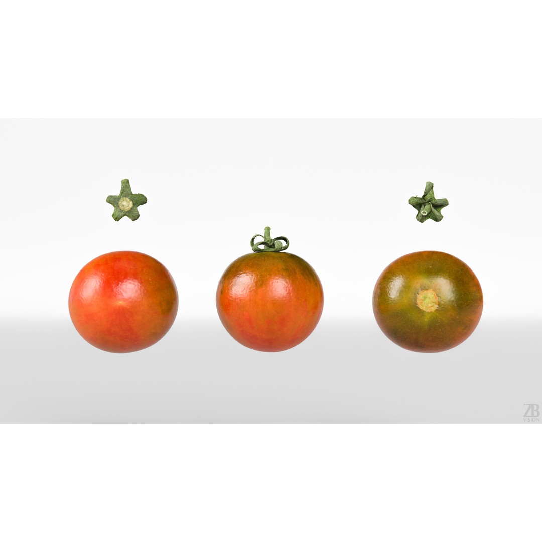 Tomato 3D Model – High Poly PBR Asset for Animation, FBX, OBJ - View 6