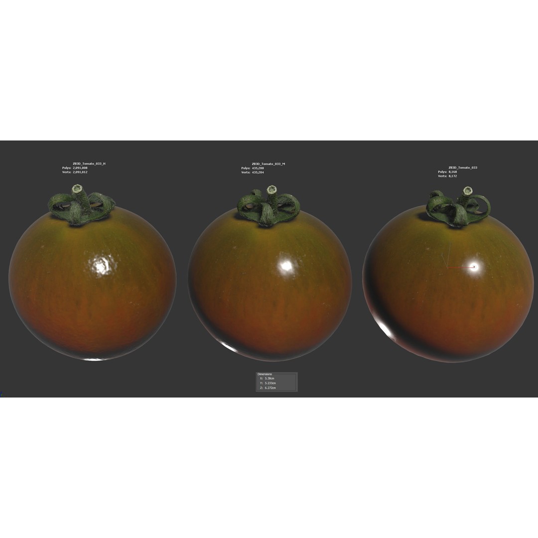 Tomato 3D Model – High Poly PBR Asset for Animation, FBX, OBJ - View 7
