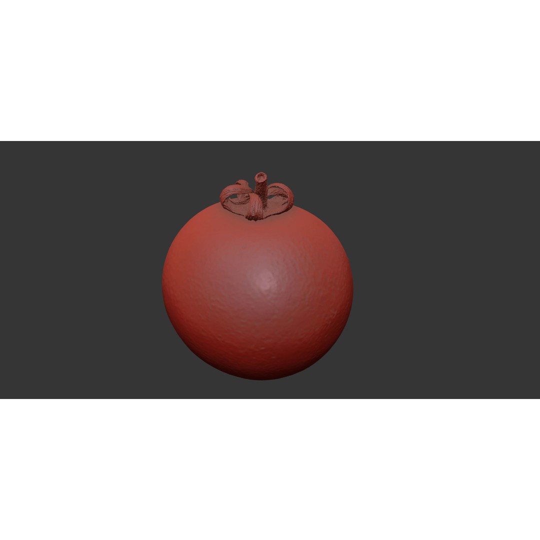 Tomato 3D Model – High Poly PBR Asset for Animation, FBX, OBJ - View 9