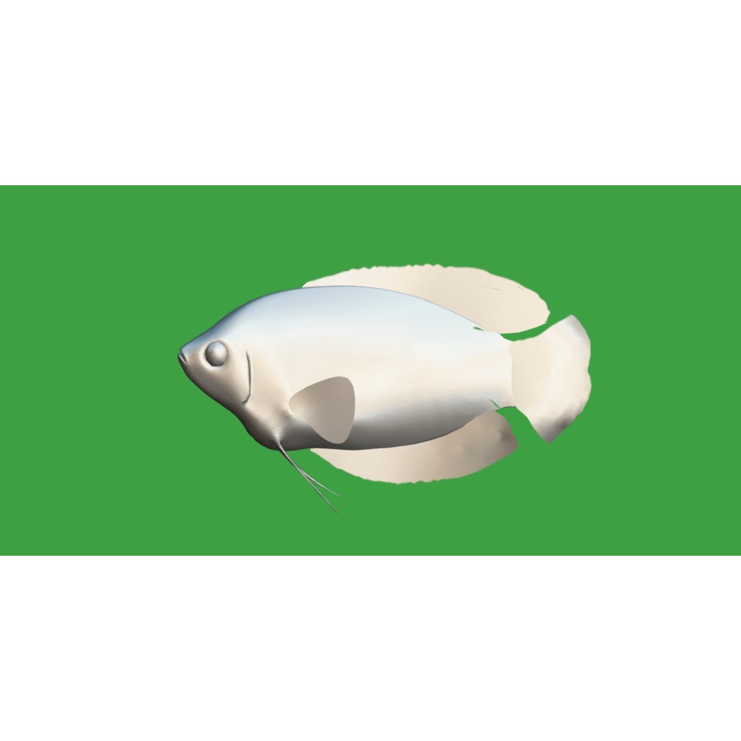 Gourami Fish 3D Model – Low Poly Game-Ready Character with Animations - View 11