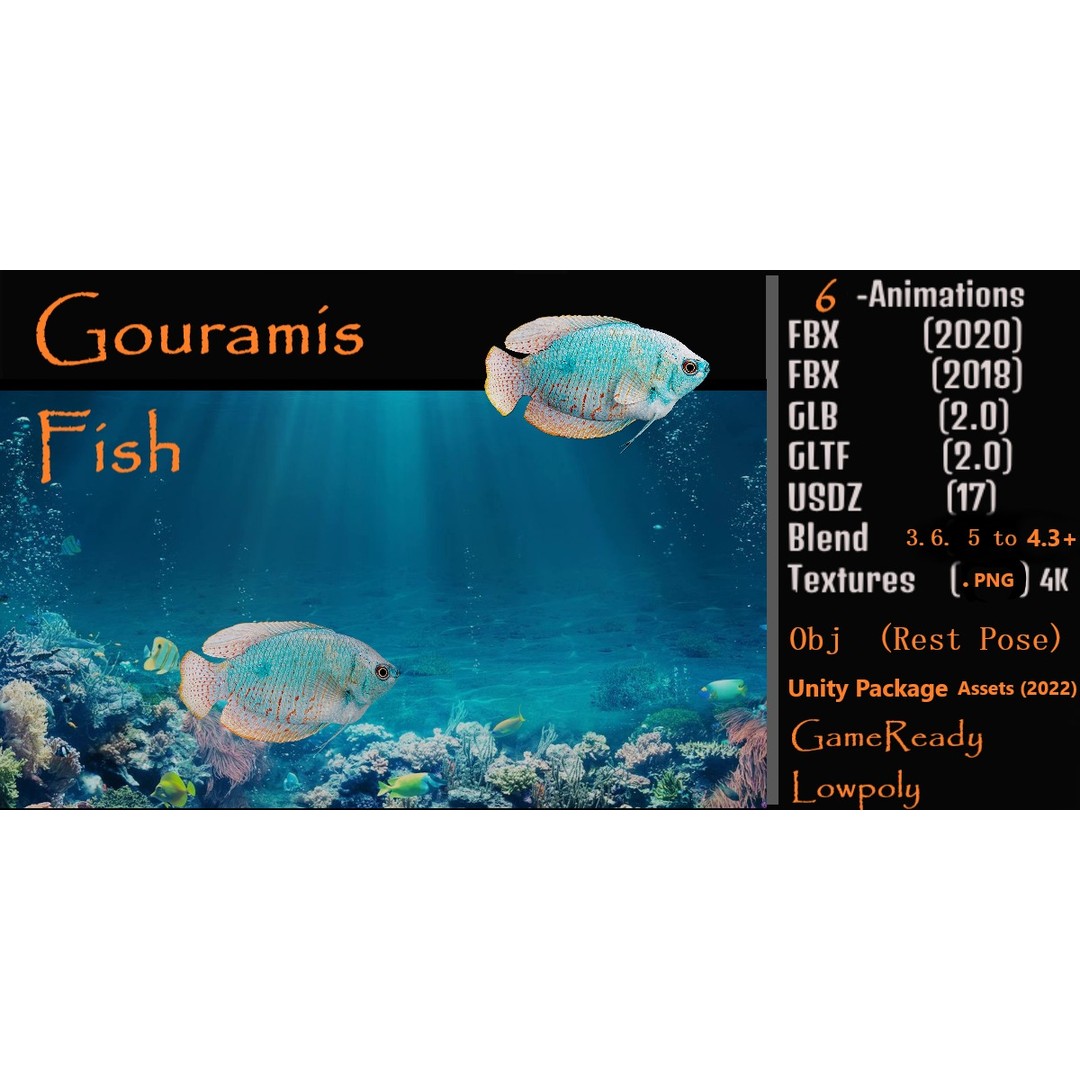 Gourami Fish 3D Model – Low Poly Game-Ready Character with Animations - View 3