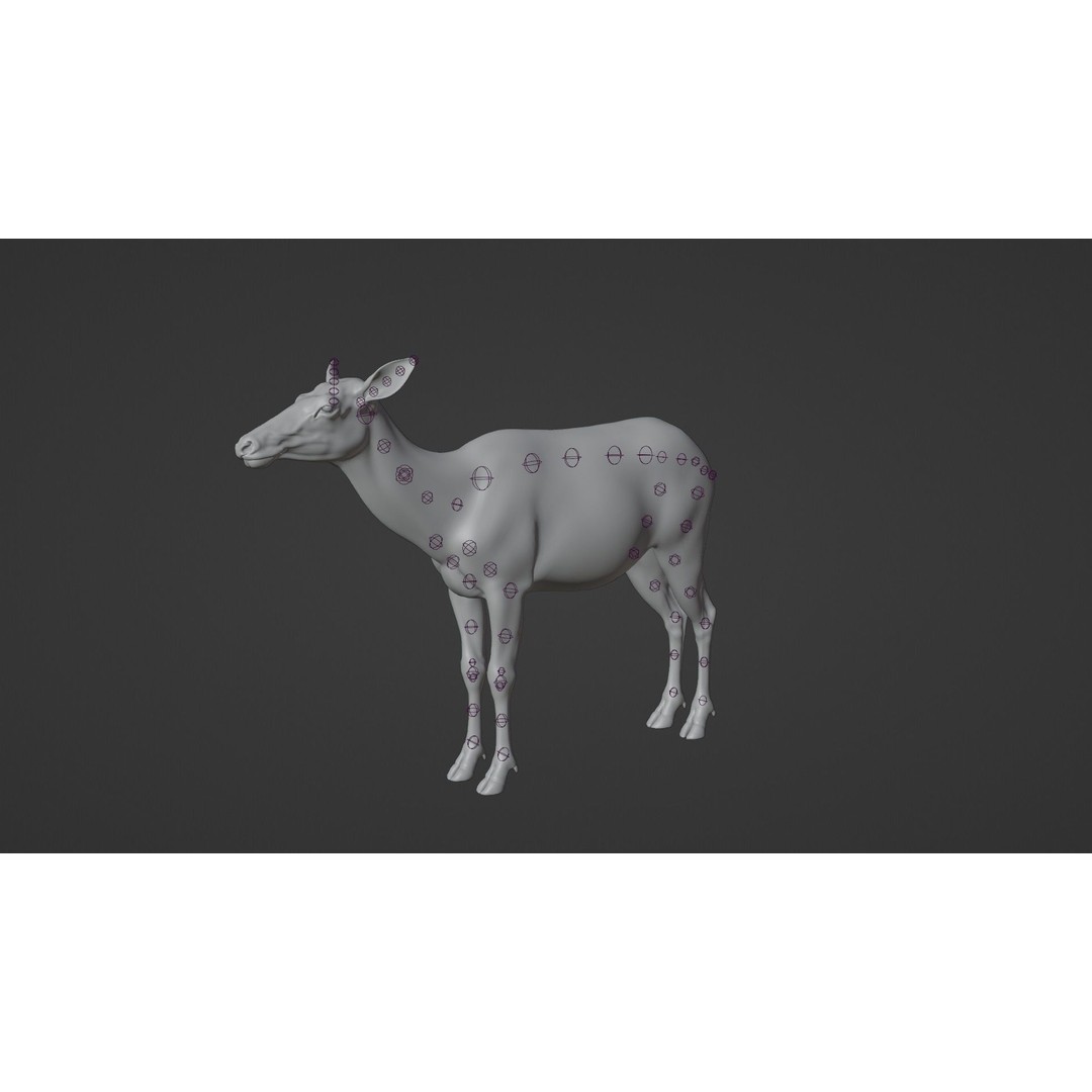 Female Canadian Deer 3D Model – Realistic Rigged Character with Animations - View 19