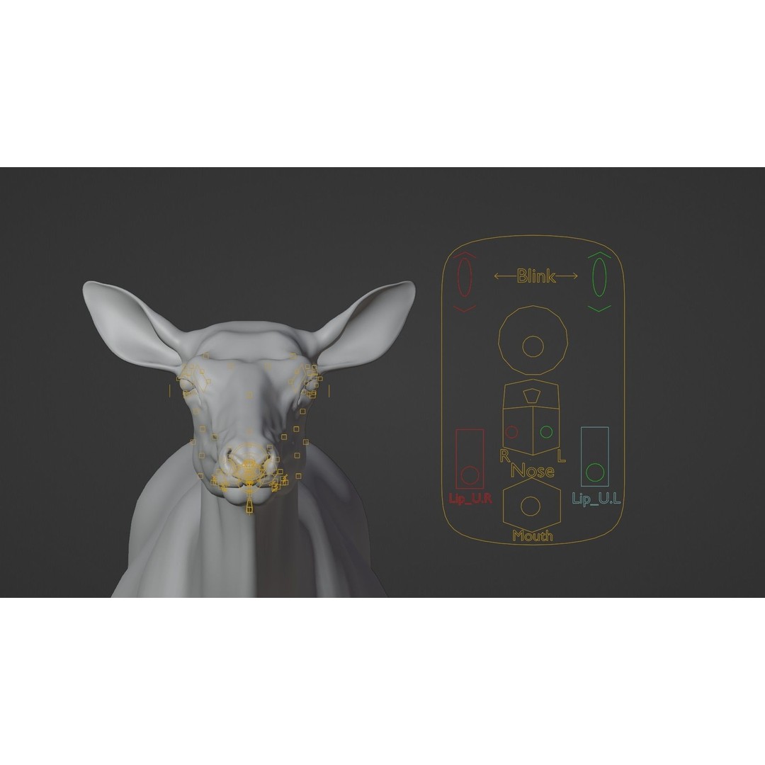 Female Canadian Deer 3D Model – Realistic Rigged Character with Animations - View 20
