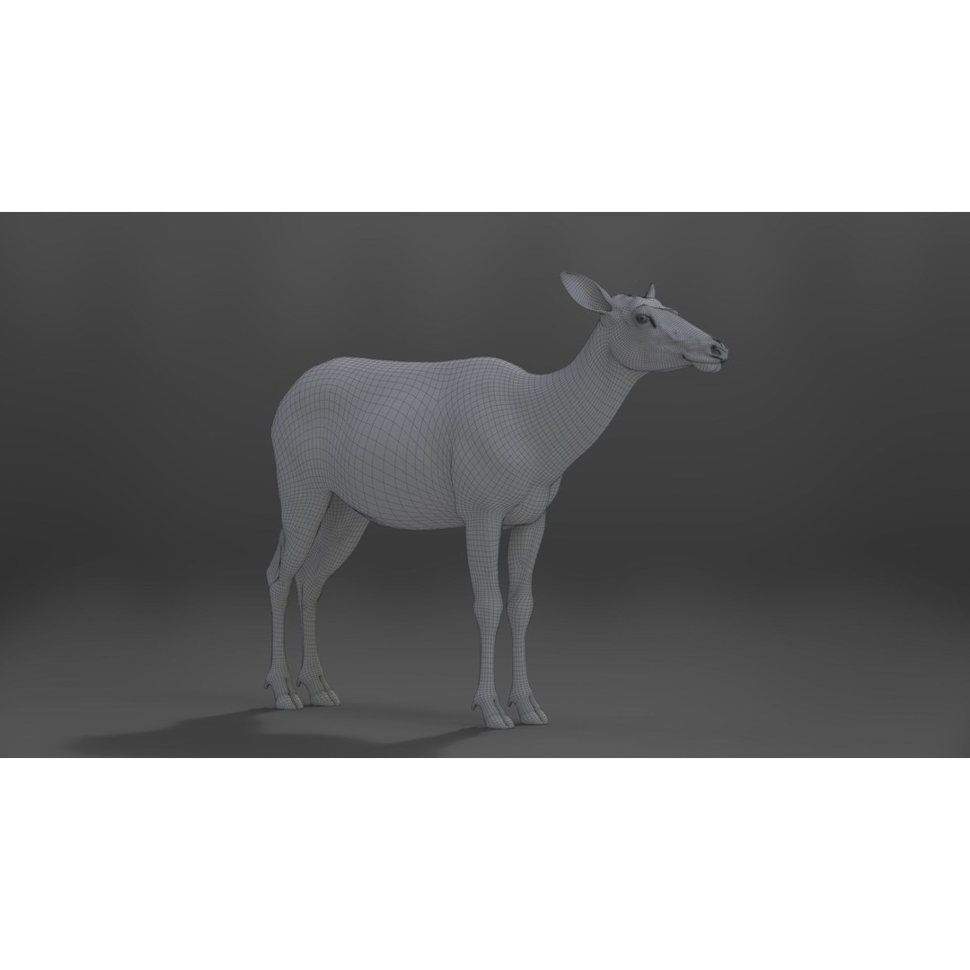 Female Canadian Deer 3D Model – Realistic Rigged Character with Animations - View 26