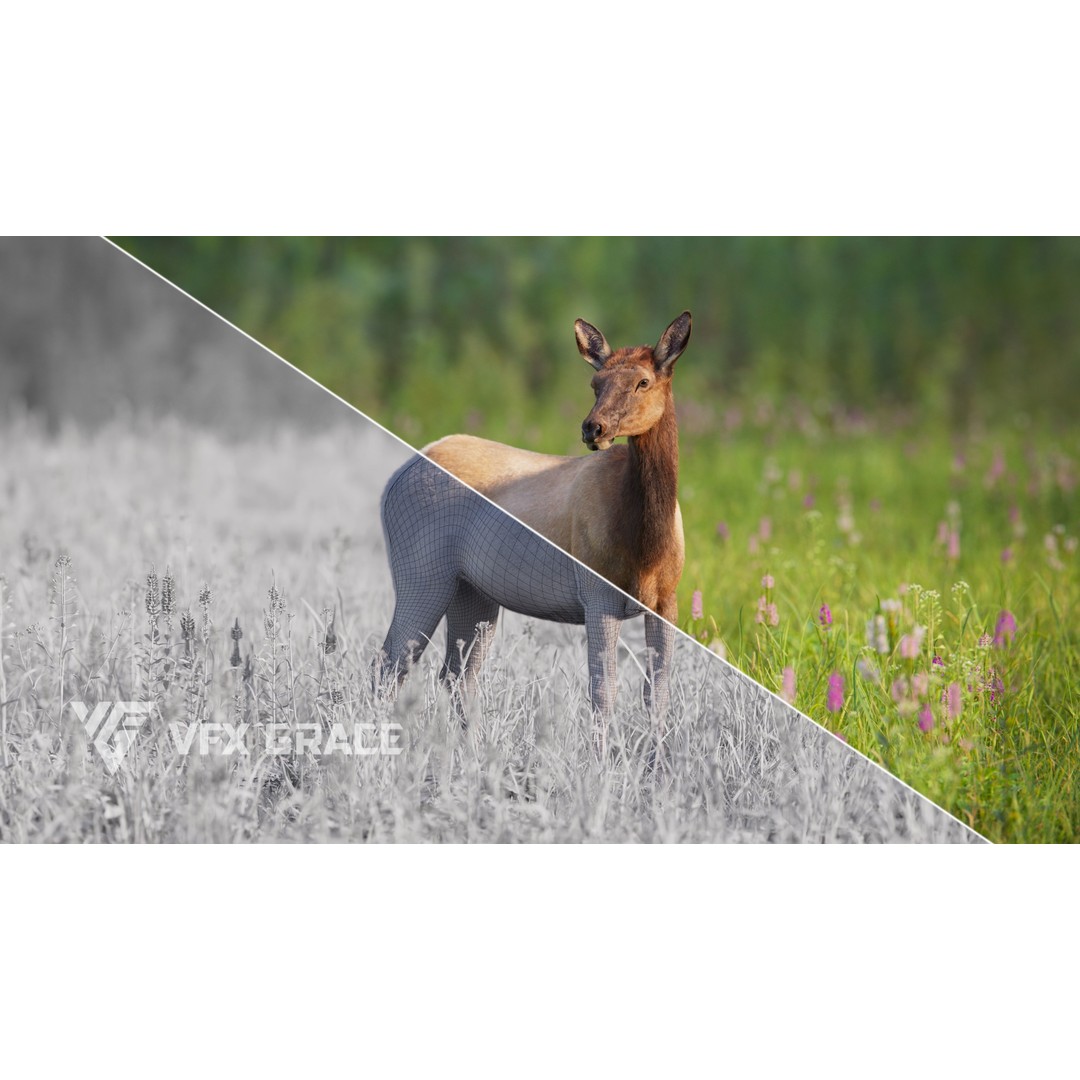 Female Canadian Deer 3D Model – Realistic Rigged Character with Animations - View 3