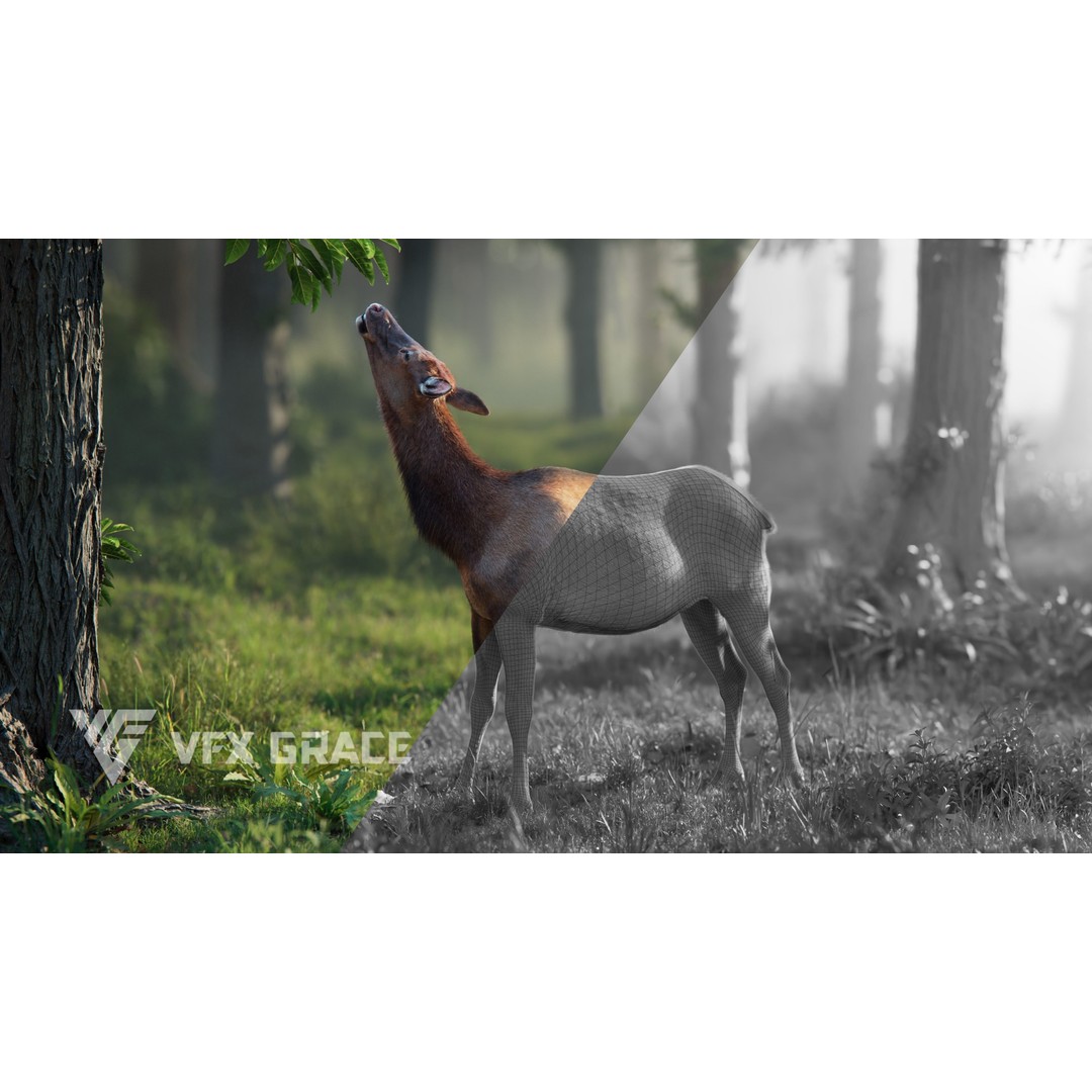 Female Canadian Deer 3D Model – Realistic Rigged Character with Animations - View 5