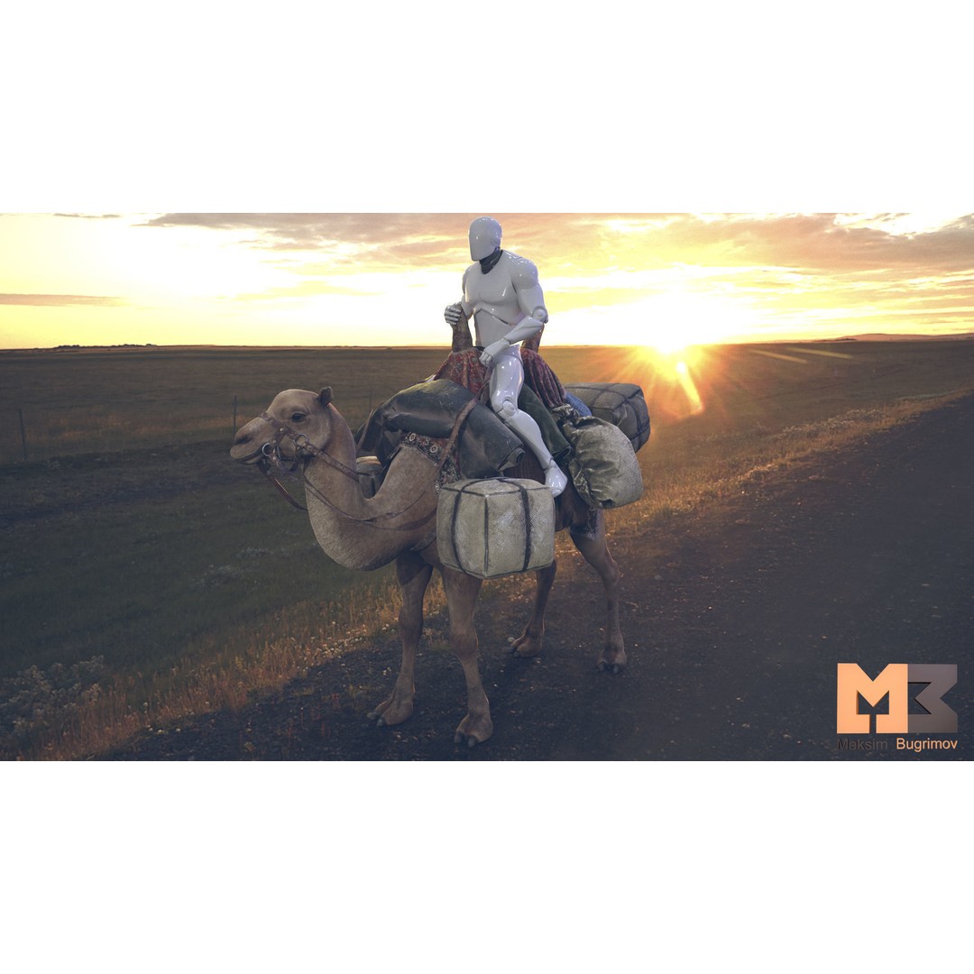 Fantasy Camel 3D Model – Low Poly Game Ready Character, FBX - View 3