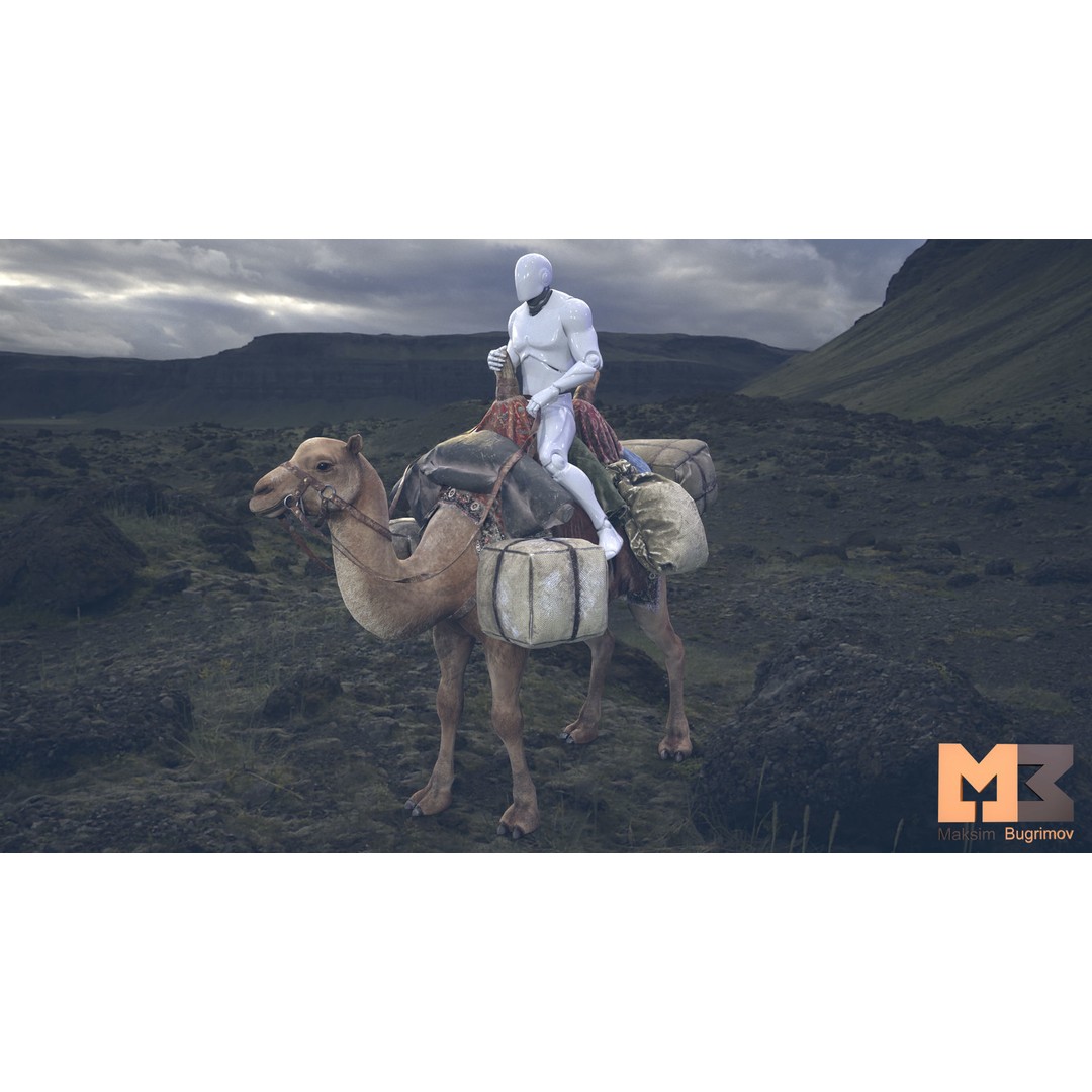 Fantasy Camel 3D Model – Low Poly Game Ready Character, FBX - View 4