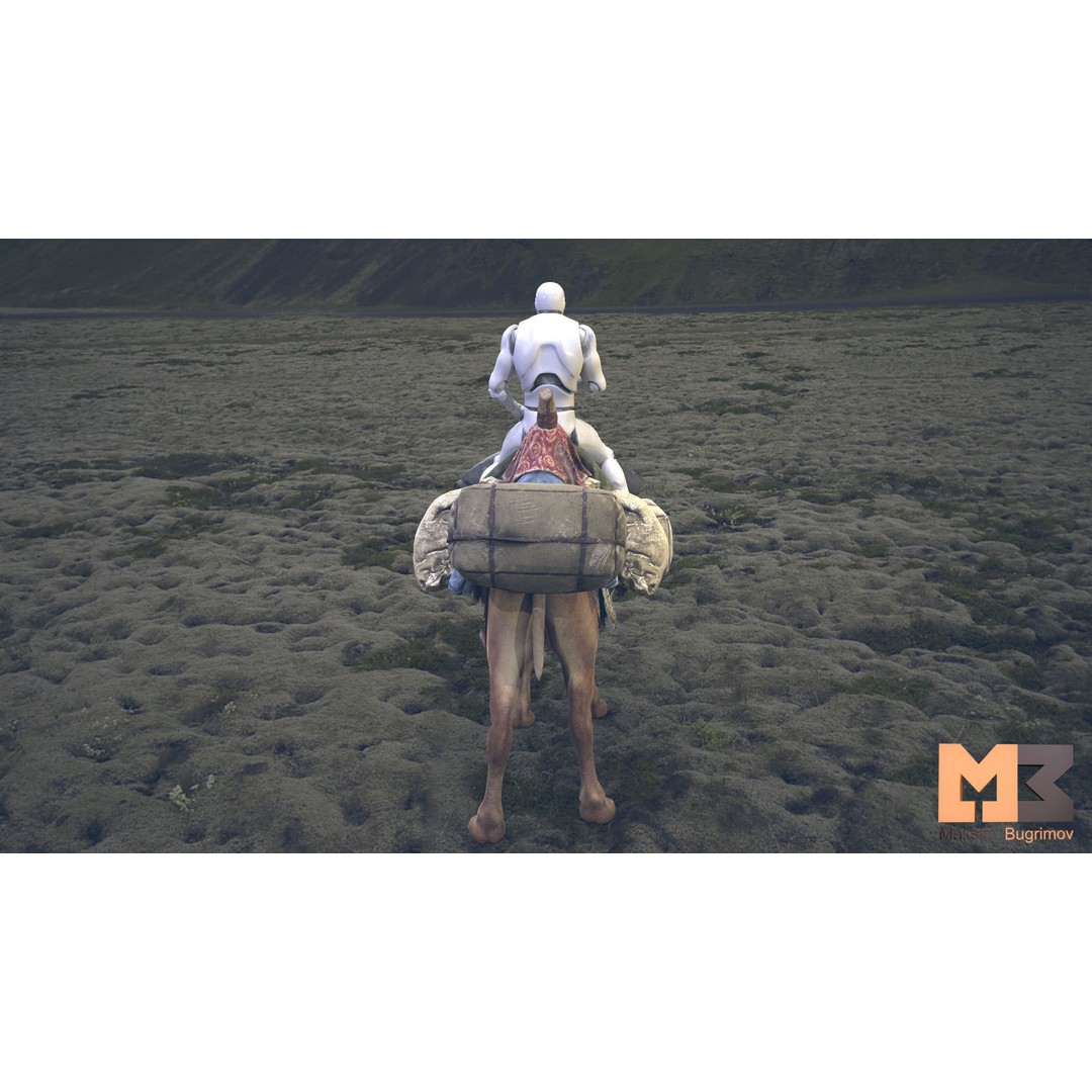 Fantasy Camel 3D Model – Low Poly Game Ready Character, FBX - View 5