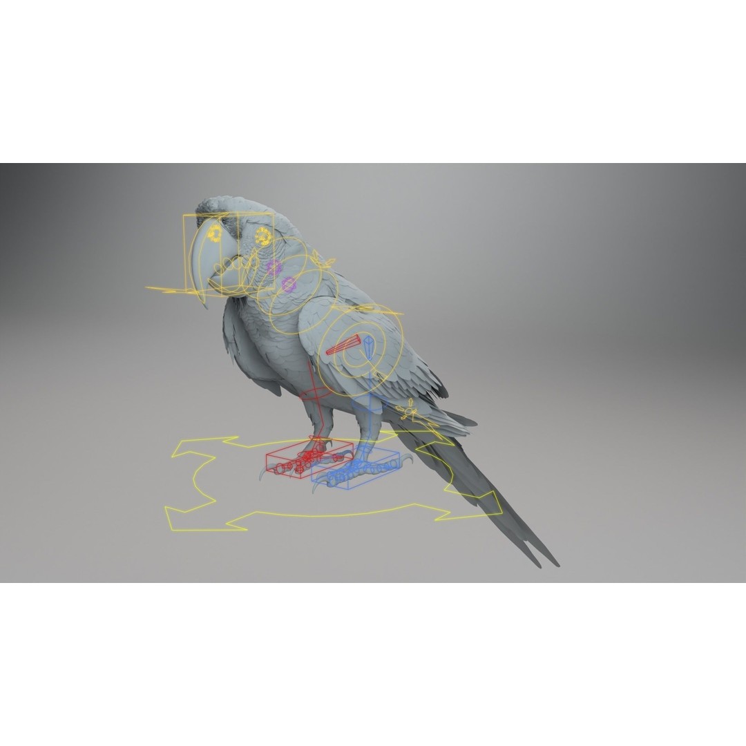 Ara Macao 3D Model – High Poly Rigged Animation with PBR Textures - View 12