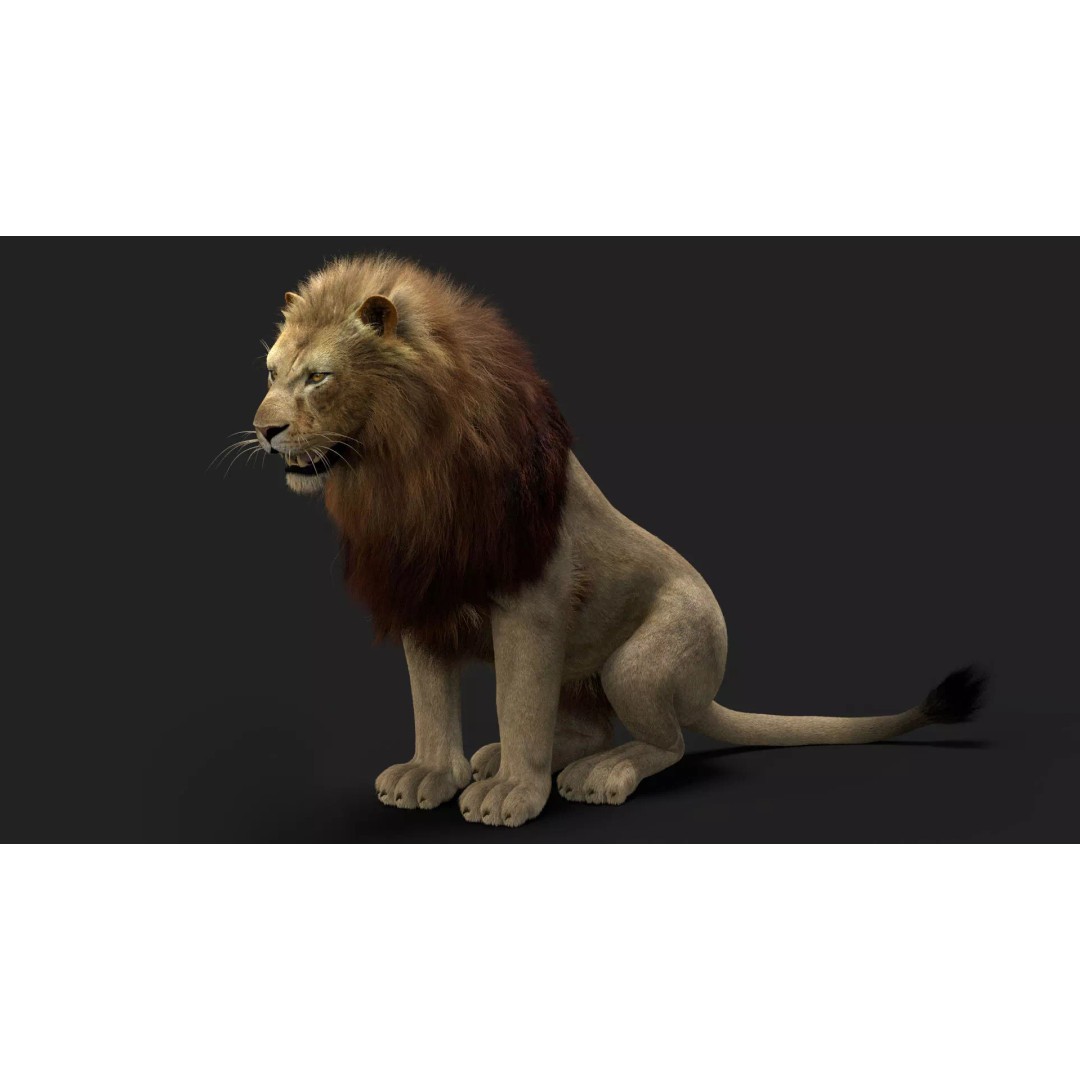 Lion 3D Model – Realistic Fur Animated Rigged Asset, FBX - View 12