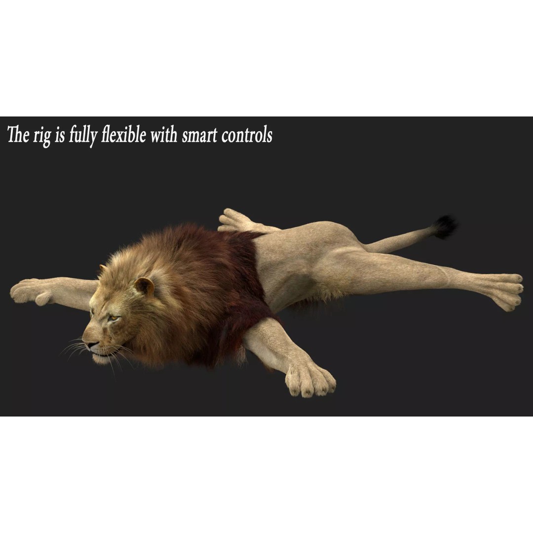 Lion 3D Model – Realistic Fur Animated Rigged Asset, FBX - View 15