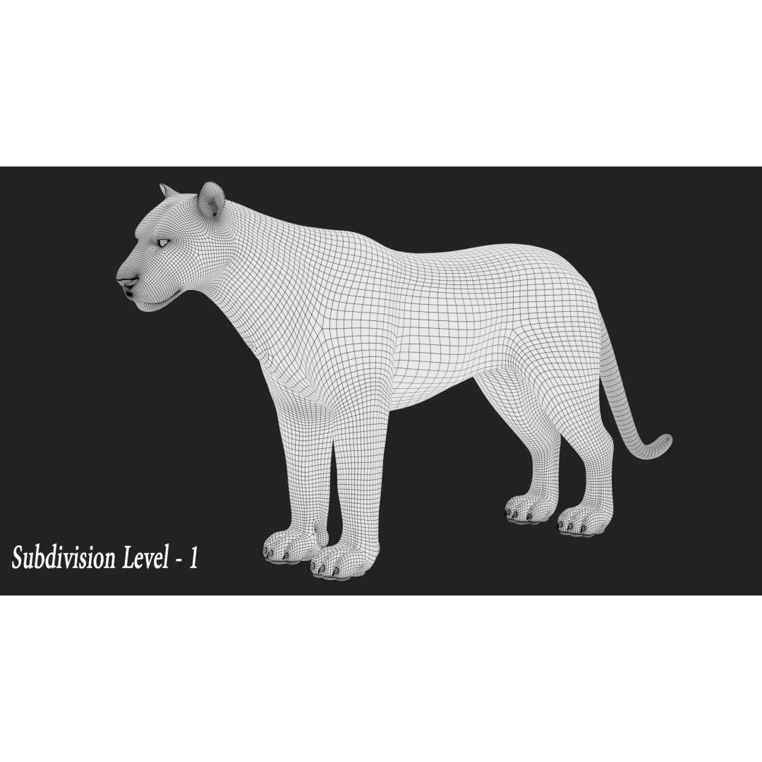 Lion 3D Model – Realistic Fur Animated Rigged Asset, FBX - View 17