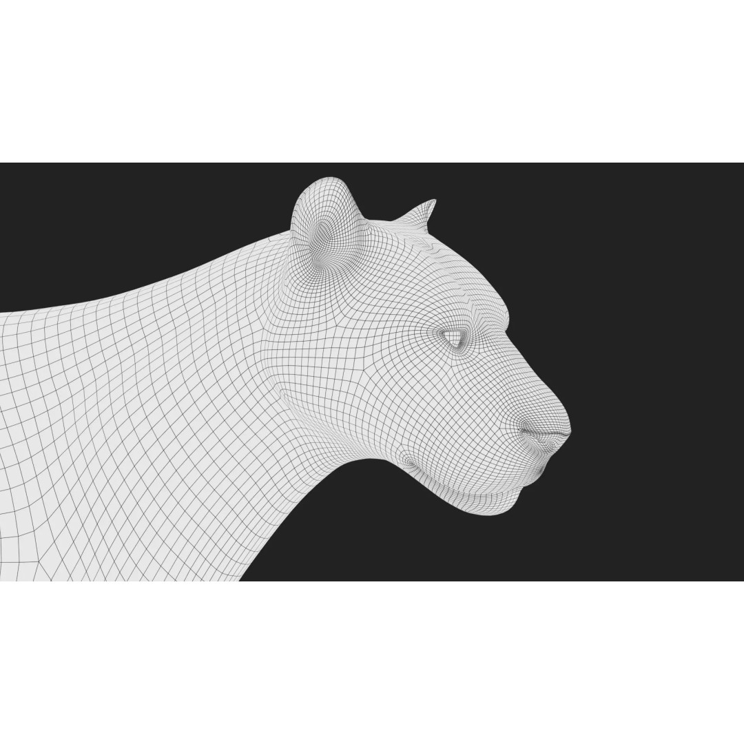 Lion 3D Model – Realistic Fur Animated Rigged Asset, FBX - View 21
