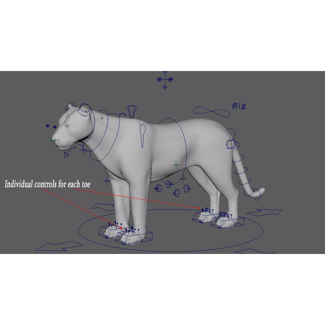 Lion 3D Model – Realistic Fur Animated Rigged Asset, FBX - View 29
