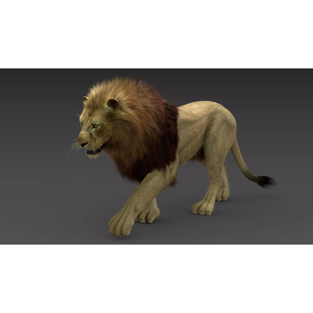 Lion 3D Model – Realistic Fur Animated Rigged Asset, FBX - View 7