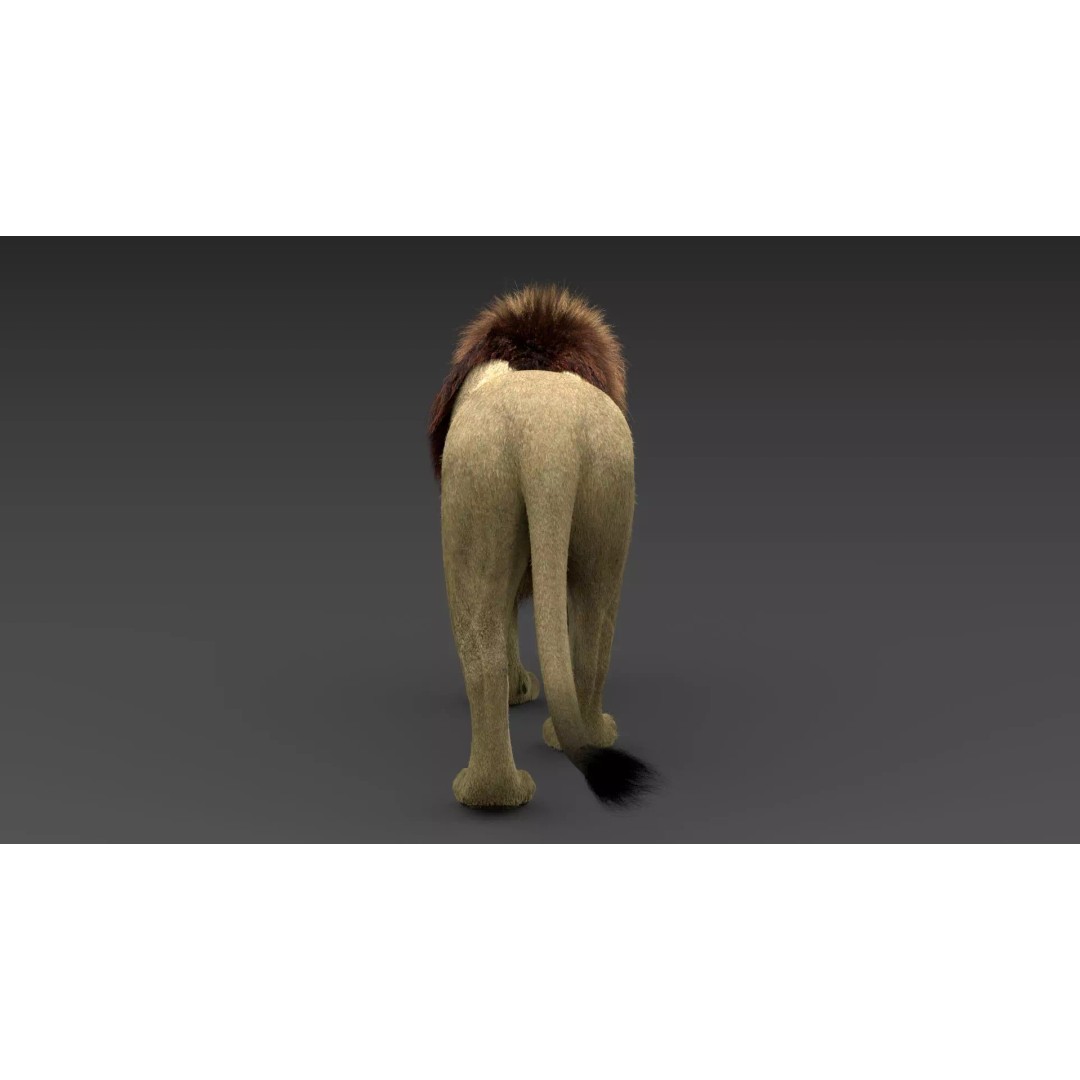 Lion 3D Model – Realistic Fur Animated Rigged Asset, FBX - View 9