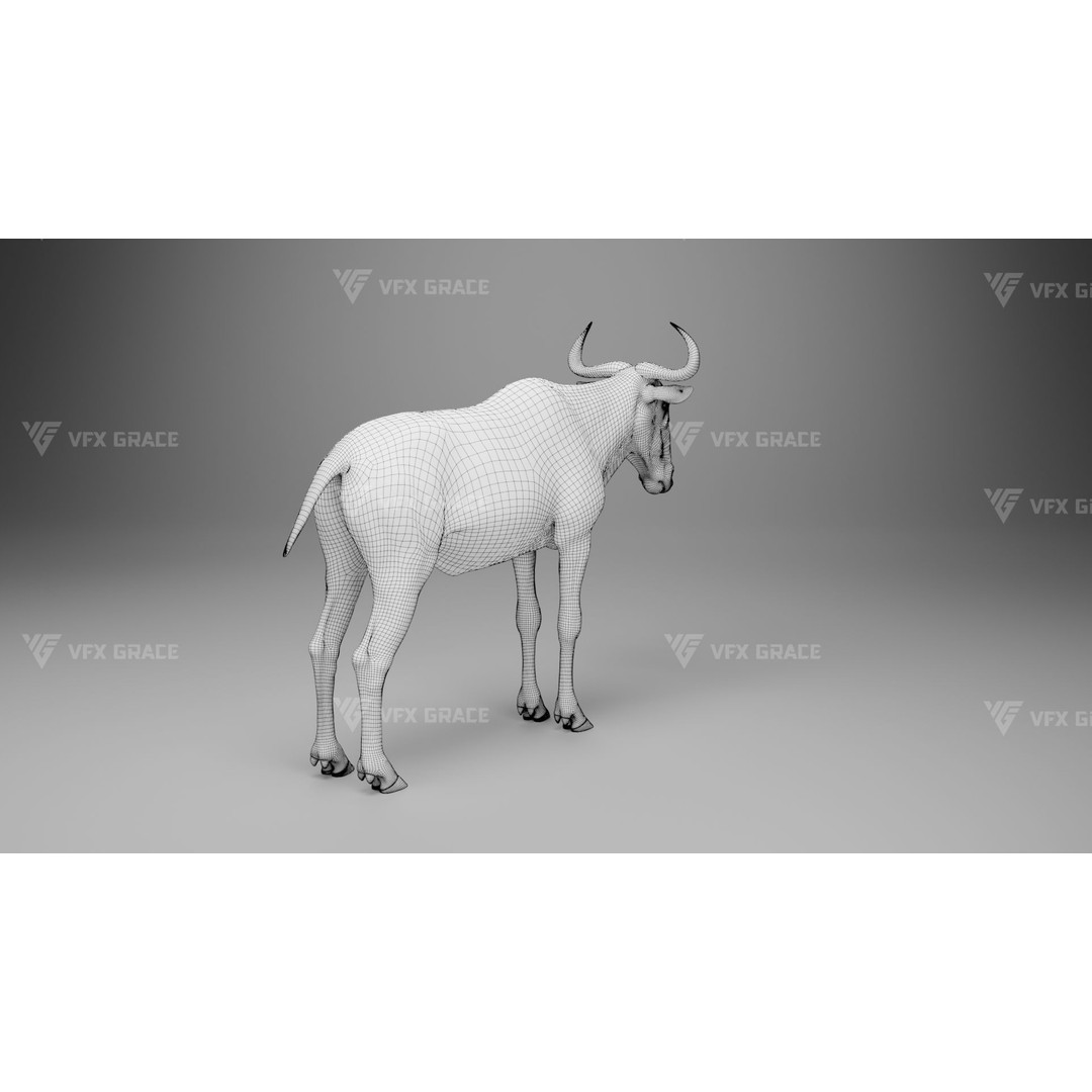 Connochaetes 3D Model – High Poly Rigged Character with Animations