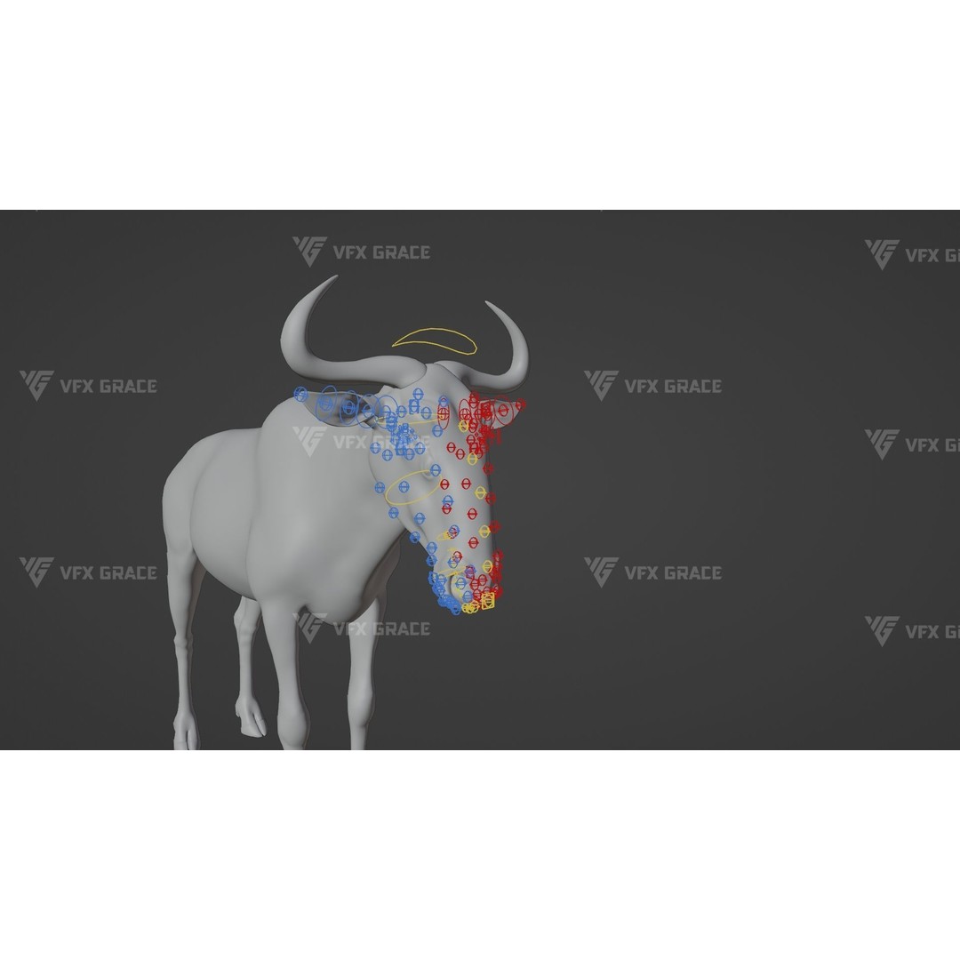 Connochaetes 3D Model – High Poly Rigged Character with Animations - View 17