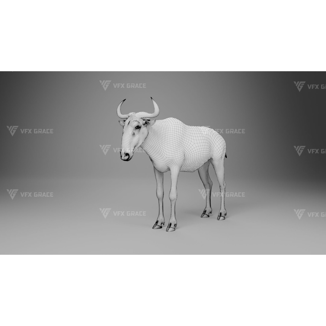 Connochaetes 3D Model – High Poly Rigged Character with Animations - View 27