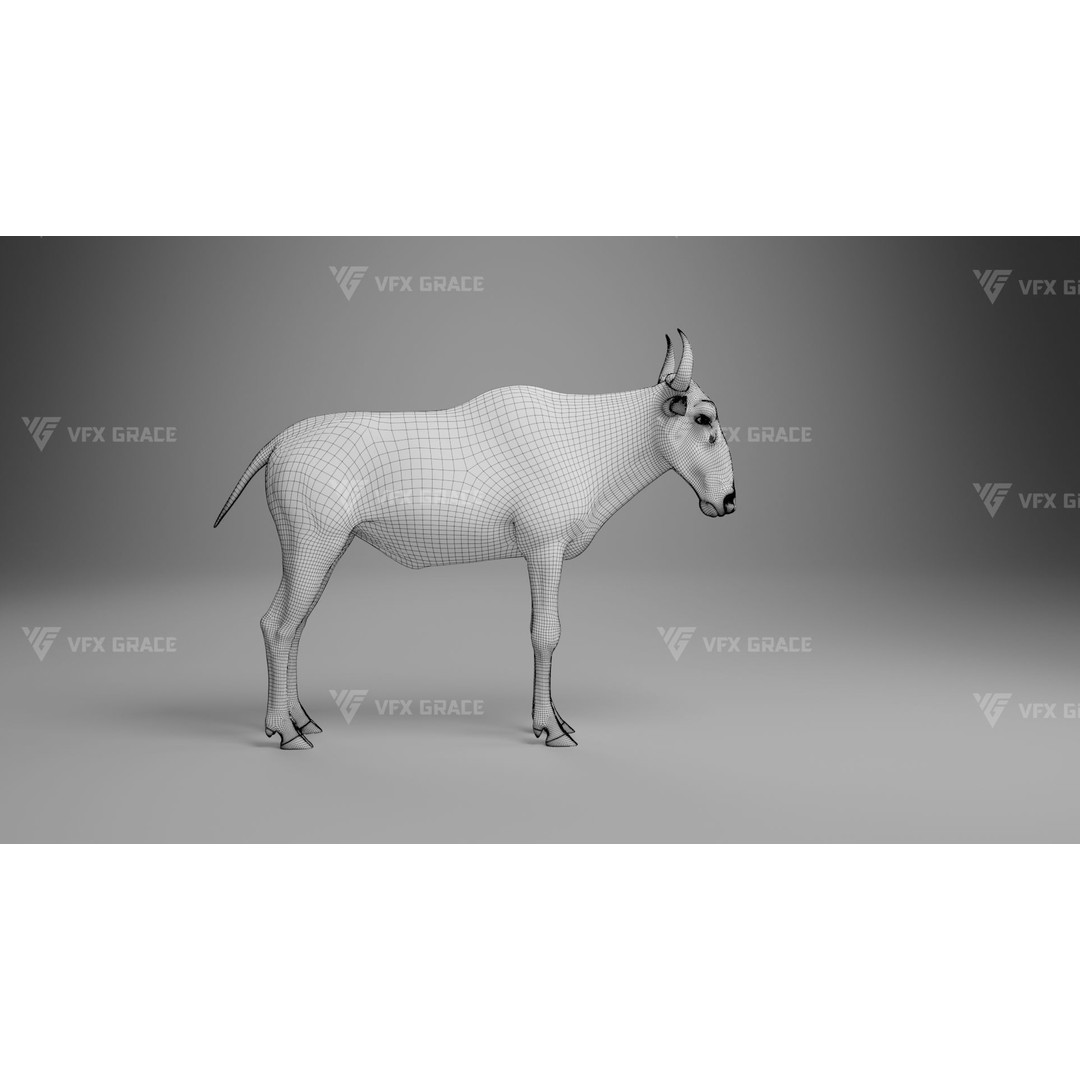 Connochaetes 3D Model – High Poly Rigged Character with Animations - View 28