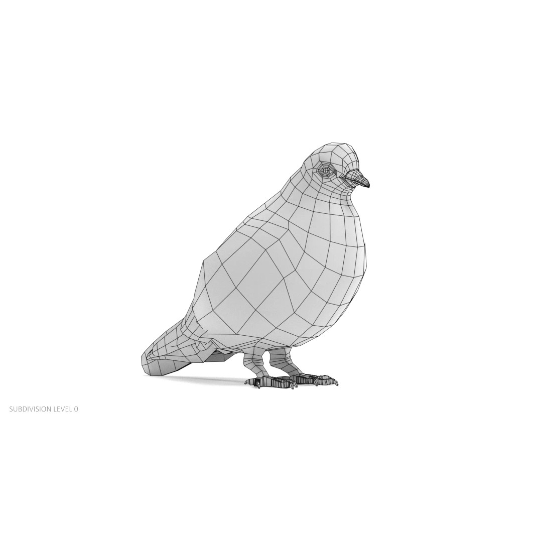 Pigeon 3D Model – Realistic Animal Asset, PBR Textures, FBX - View 12