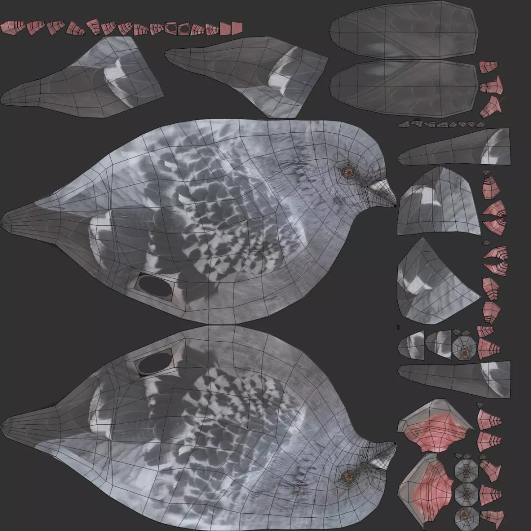 Pigeon 3D Model – Realistic Animal Asset, PBR Textures, FBX - View 9