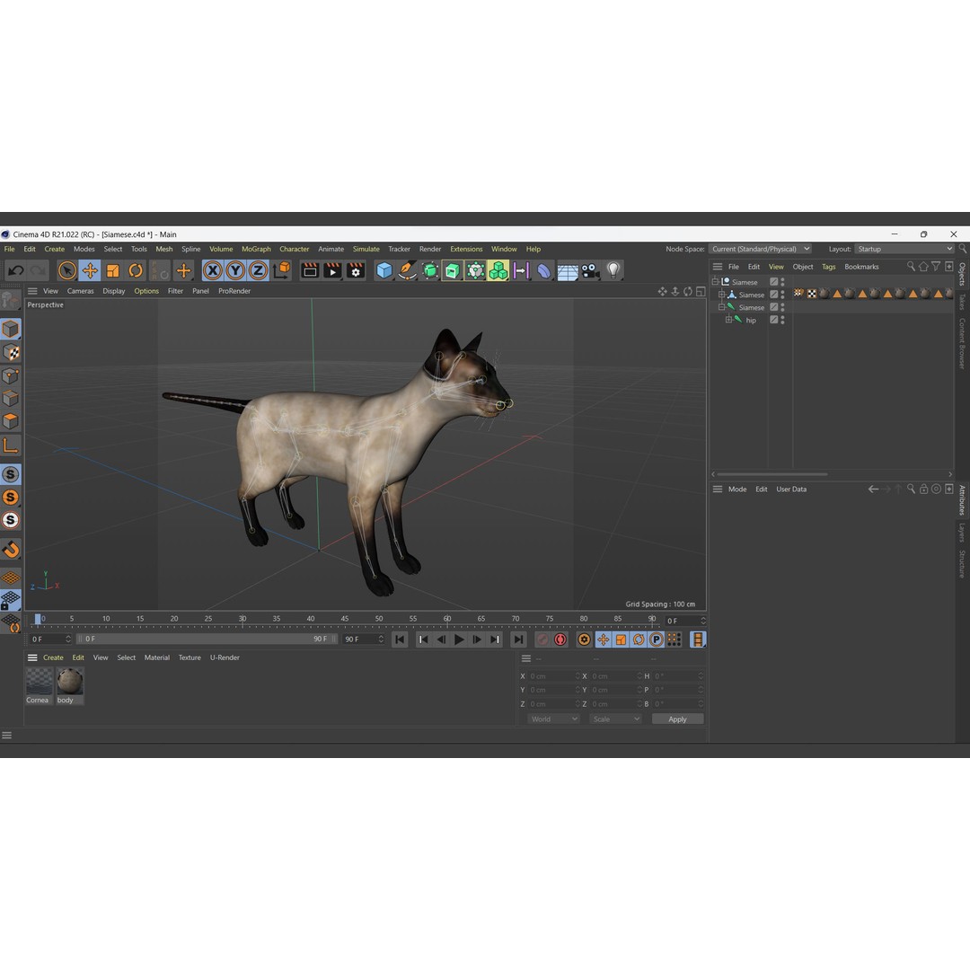 Siamese Cat 3D Model – Rigged Low-Poly Character for Animation, FBX - View 10