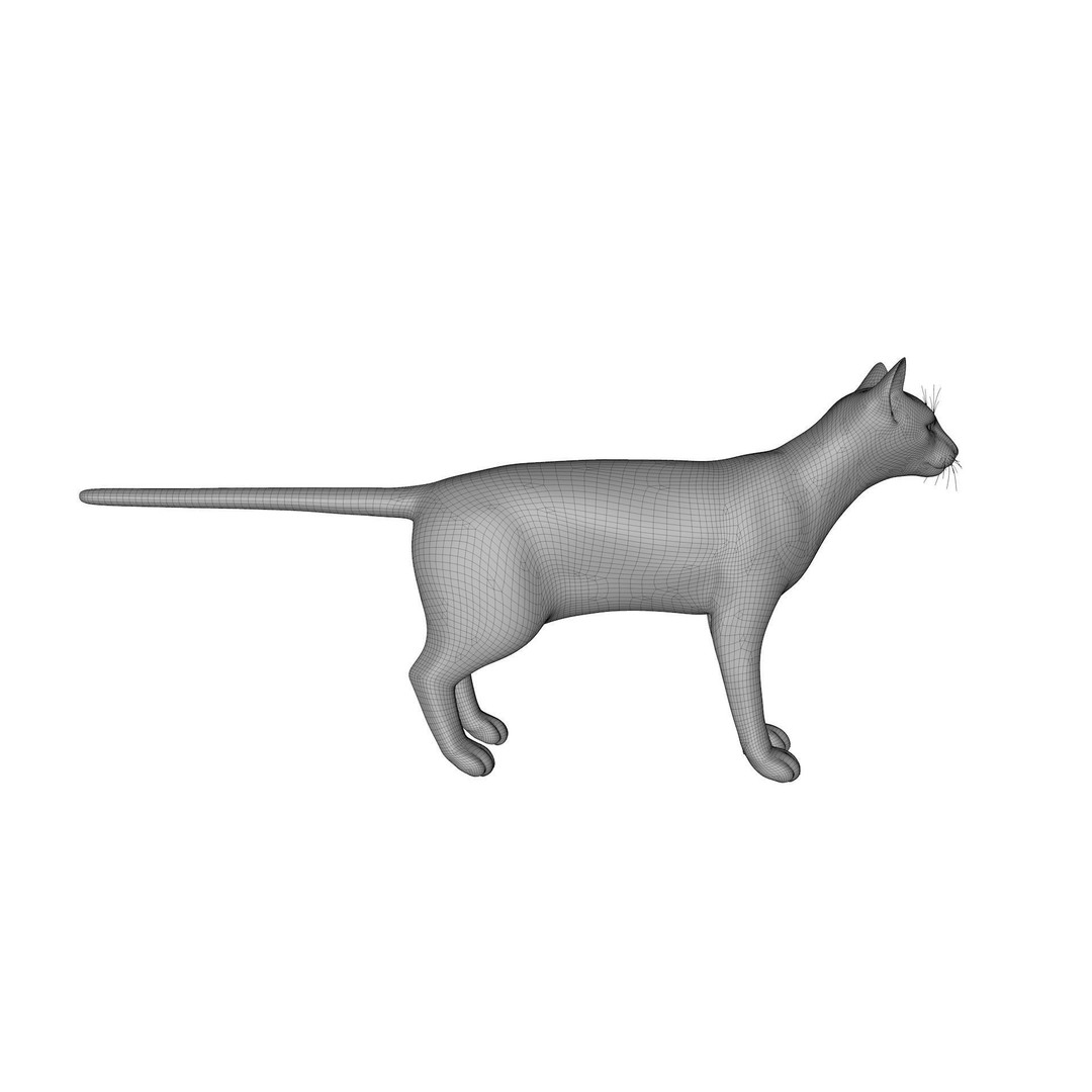 Siamese Cat 3D Model – Rigged Low-Poly Character for Animation, FBX - View 14