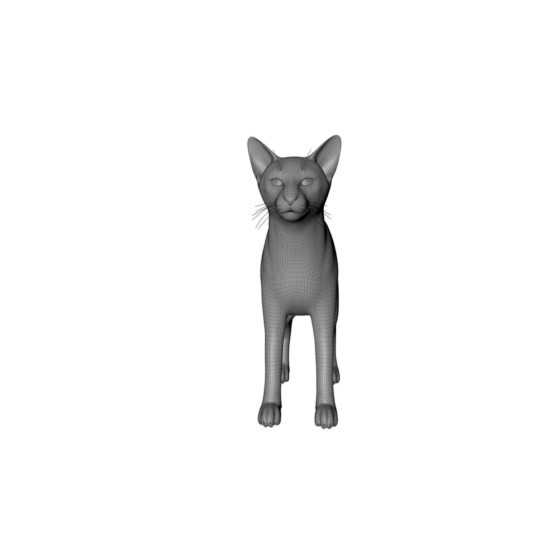 Siamese Cat 3D Model – Rigged Low-Poly Character for Animation, FBX - View 15