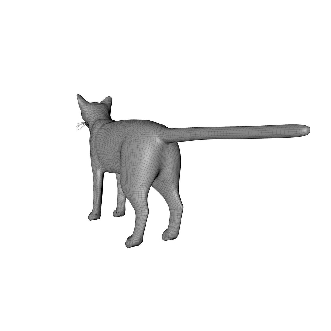 Siamese Cat 3D Model – Rigged Low-Poly Character for Animation, FBX - View 16
