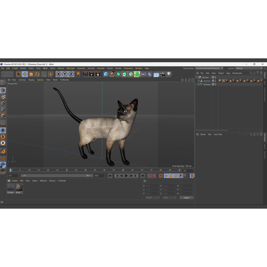 Siamese Cat 3D Model – Rigged Low-Poly Character for Animation, FBX - View 9