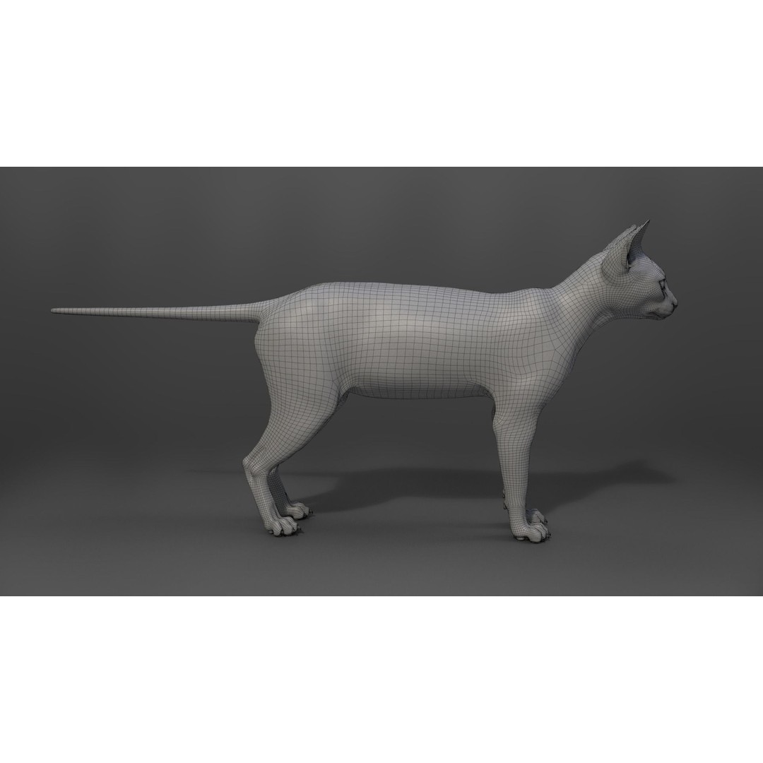 Grey Cat 3D Model – High Poly Animated Rigged Character, Blender