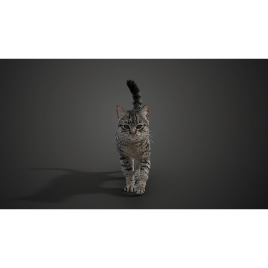 Grey Cat 3D Model – High Poly Animated Rigged Character, Blender - View 11