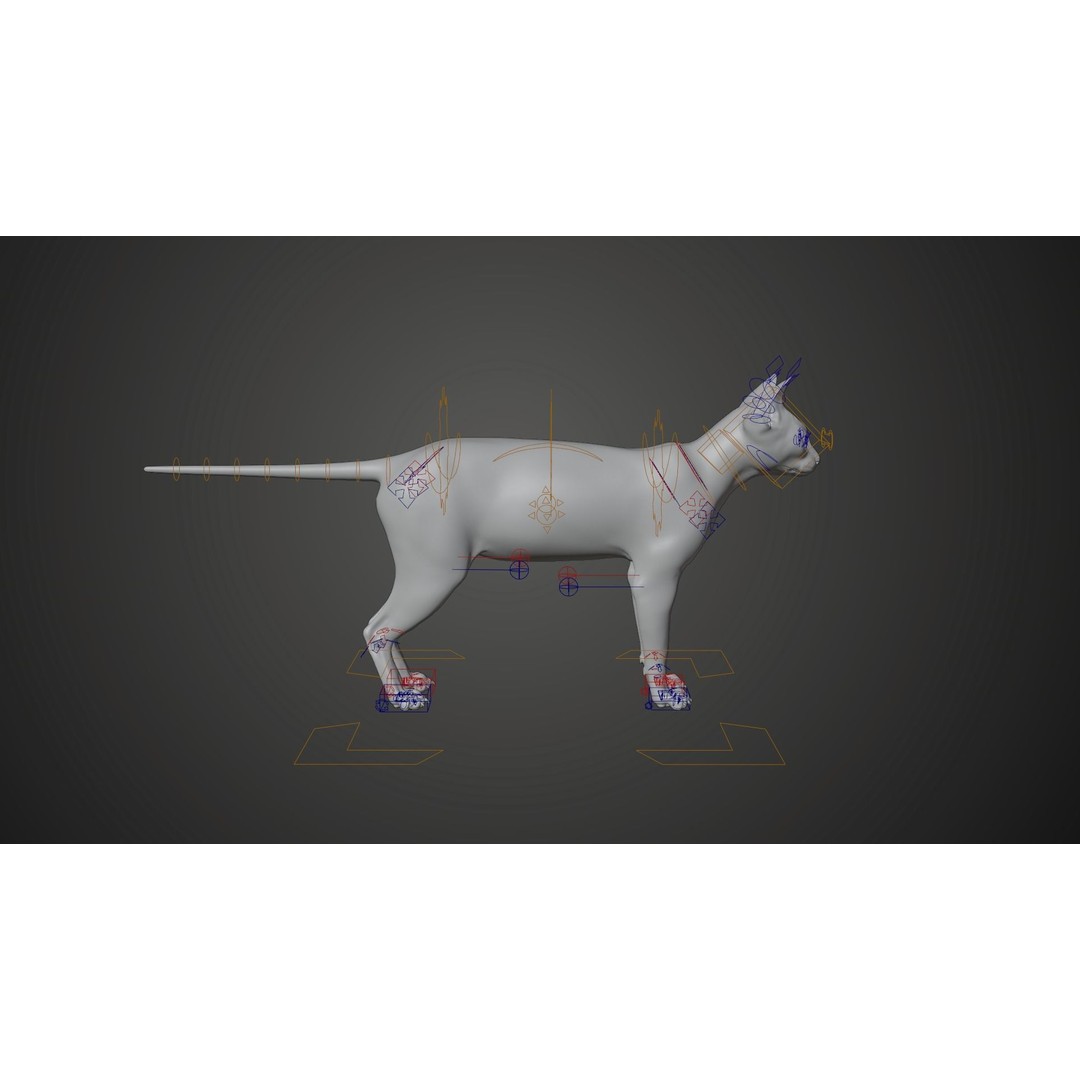 Grey Cat 3D Model – High Poly Animated Rigged Character, Blender - View 12