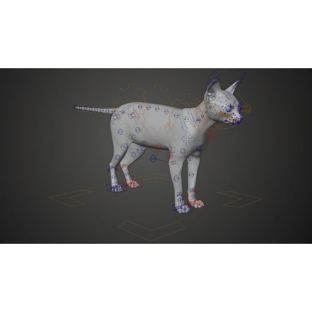 Grey Cat 3D Model – High Poly Animated Rigged Character, Blender - View 13