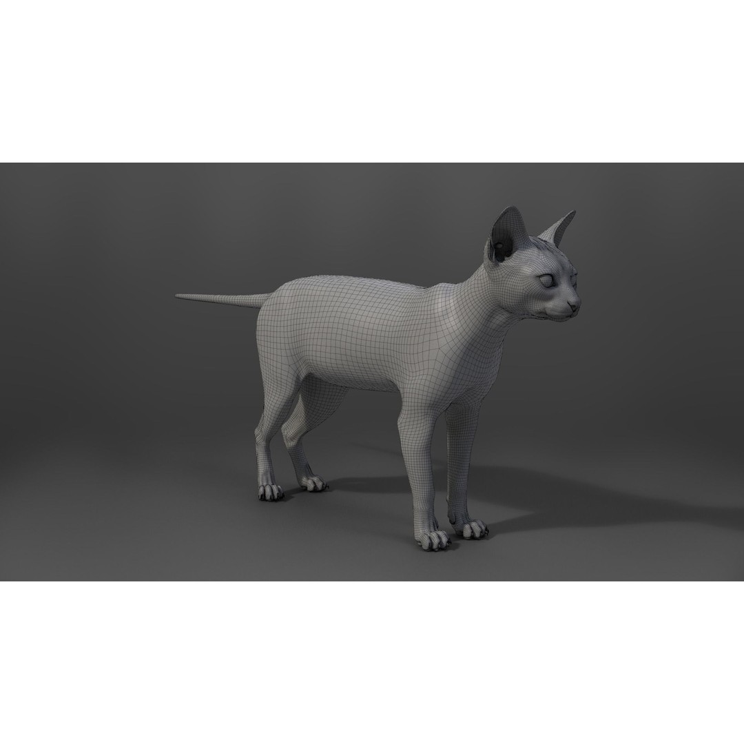 Grey Cat 3D Model – High Poly Animated Rigged Character, Blender - View 19