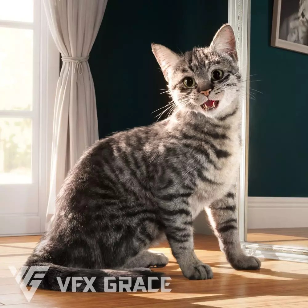 Grey Cat 3D Model – High Poly Animated Rigged Character, Blender - View 2