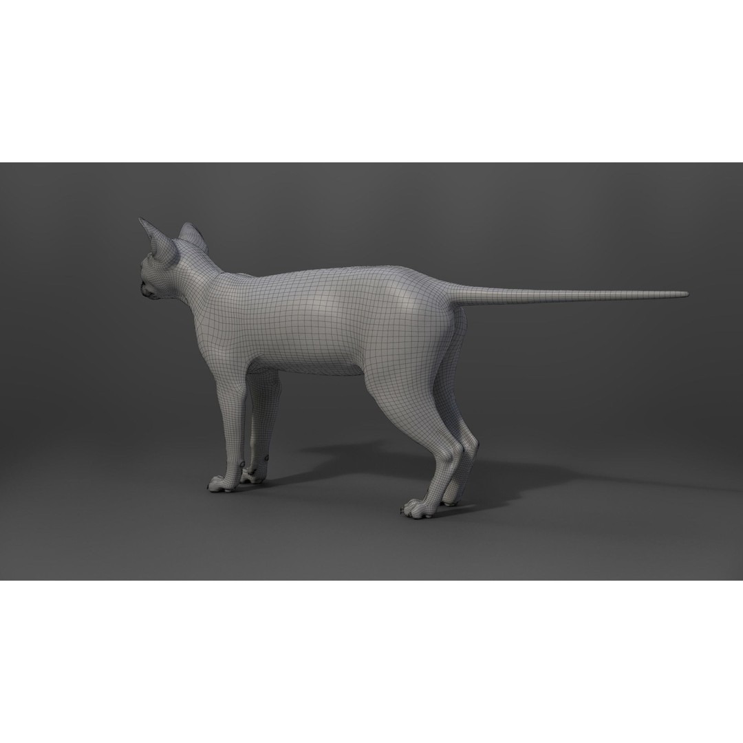 Grey Cat 3D Model – High Poly Animated Rigged Character, Blender - View 21