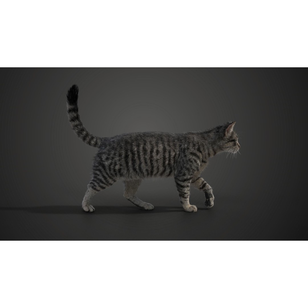Grey Cat 3D Model – High Poly Animated Rigged Character, Blender - View 8