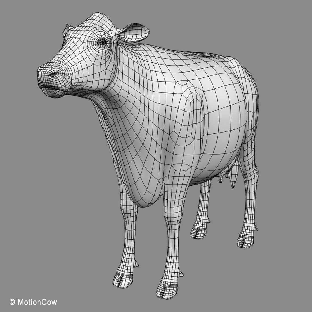 Holstein Cow 3D Model – Photo Realistic Rigged Asset, FBX - View 28