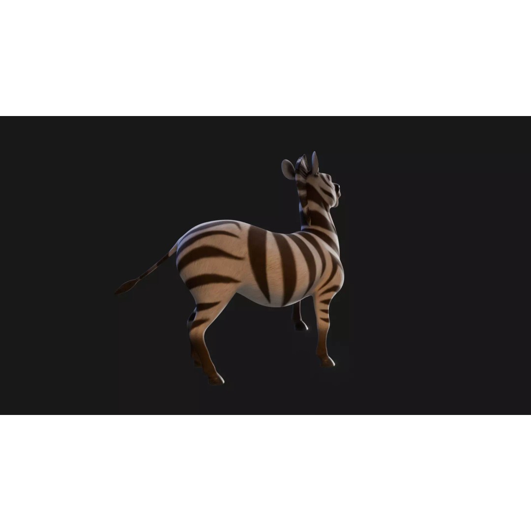 Zebra 3D Model – Stylized Low-Poly Rigged Character for Animation - View 27