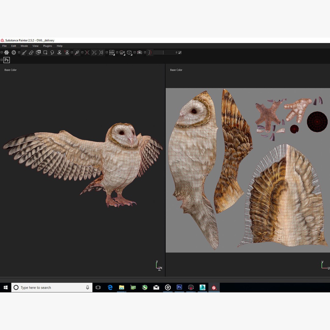 Barn Owl 3D Model – Low Poly Game Ready Asset, FBX, OBJ - View 4