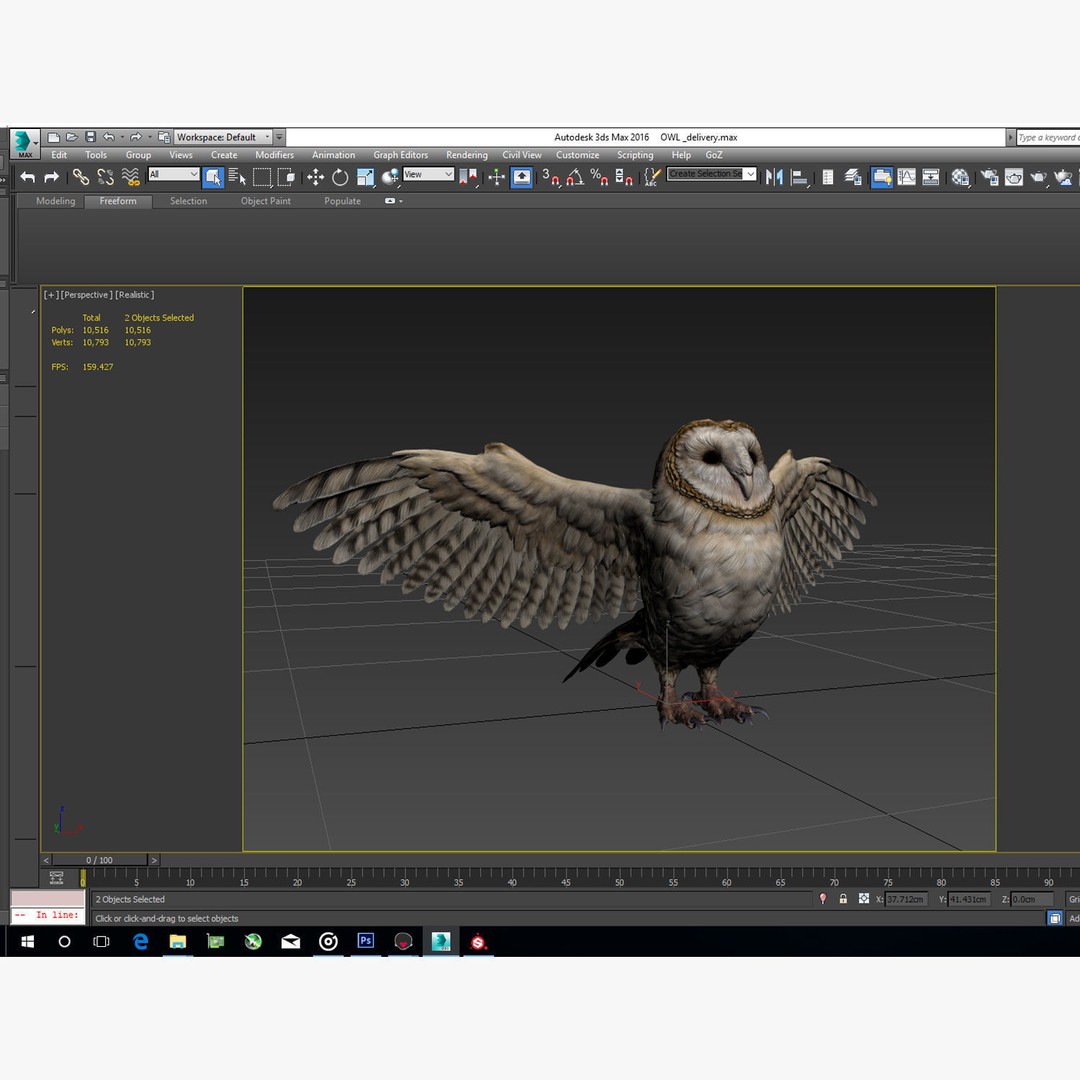 Barn Owl 3D Model – Low Poly Game Ready Asset, FBX, OBJ - View 6