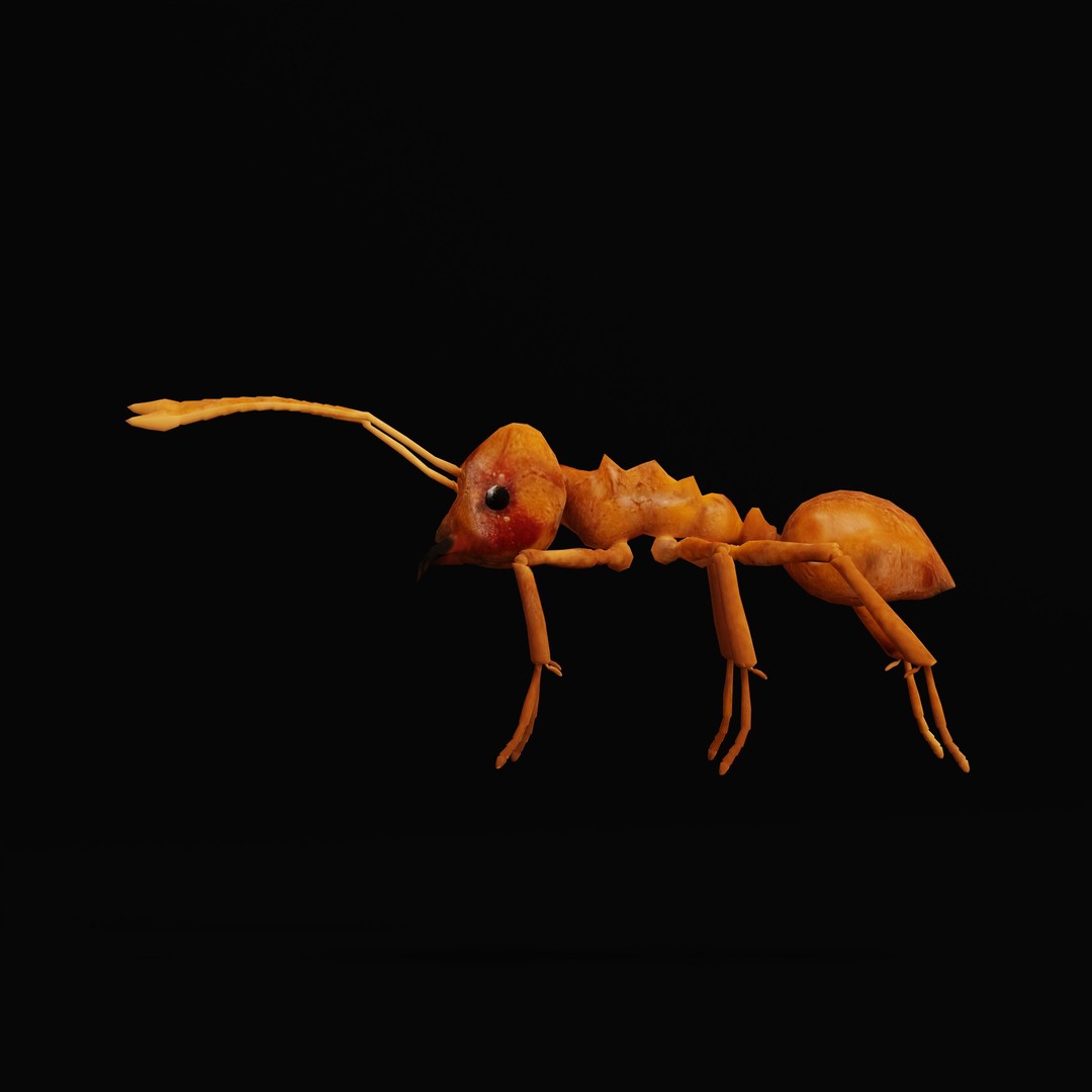 Leafcutter Ant 3D Model – Low Poly Game Asset, Rigged, FBX, PBR