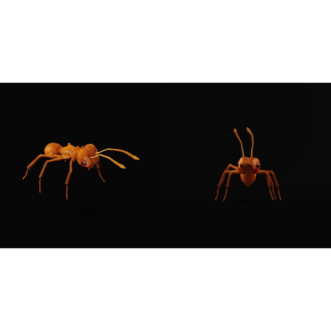 Leafcutter Ant 3D Model – Low Poly Game Asset, Rigged, FBX, PBR - View 12